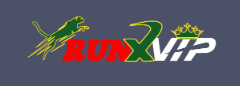 Discover the Excitement of Runx Bet A Comprehensive Guide Discover the Excitement of Runx Bet A Comprehensive Guide